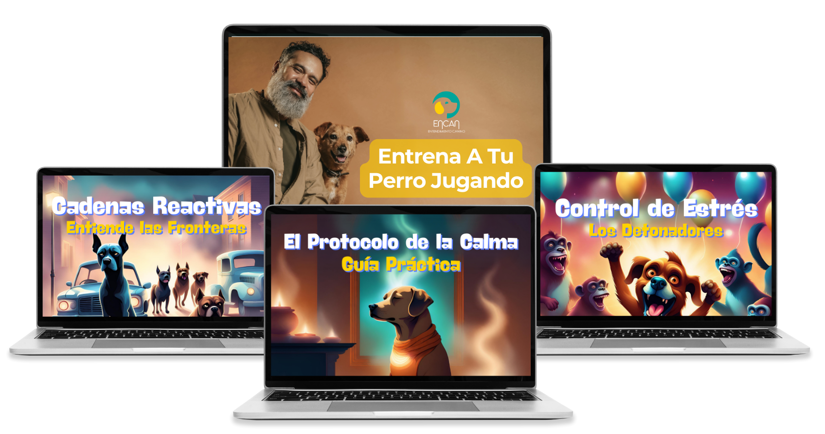 Paqute_ETPJ
